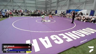 94 lbs Placement Matches (8 Team) - Nico DeSalvo, Iowa vs Allen Woo, Illinois