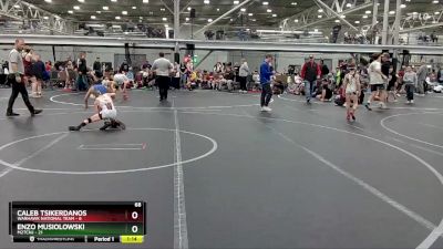 68 lbs Placement (4 Team) - Enzo Musiolowski, M2TCNJ vs Caleb Tsikerdanos, Warhawk National Team