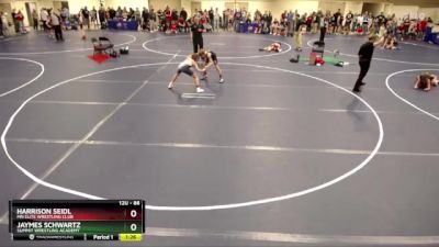 86 lbs Cons. Round 3 - Jaymes Schwartz, Summit Wrestling Academy vs Harrison Seidl, MN Elite Wrestling Club