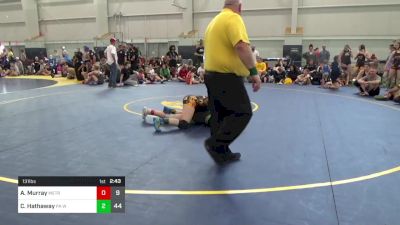 131 lbs Final - Adriana Murray, Metro All-Stars vs Camilla Hathaway, PA West