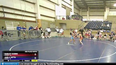 65 lbs Placement Matches (8 Team) - Harley Dobbs, Alaska vs Anela Nitta, Hawaii