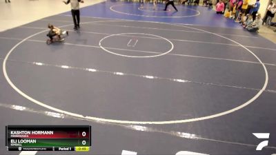 50 lbs Quarterfinal - Eli Looman, Kimball vs Kashton Hormann, Minnewaska