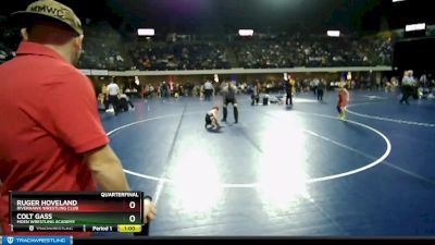 53 lbs Quarterfinal - Colt Gass, Moen Wrestling Academy vs Ruger Hoveland, Riverhawk Wrestling Club