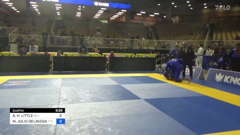 ALEXZANDER H. LITTLE vs MATTHEW JULIO DELAVEGA 2024 Pan Jiu Jitsu IBJJF Championship