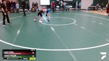 95 lbs 1st Place Match - Wyatt Miller, Diamondville Wrestling Club vs Liam O`Dea, Cowboy Kids Wrestling Club