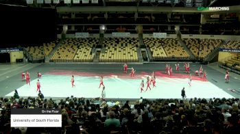 University of South Florida at 2019 WGI Guard Southeast Power Regional