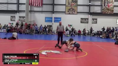 80 lbs Round 3 (4 Team) - Elias Taylor, DARKHORSE WRESTLING CLUB - GOLD vs Cole Littman, GREAT NECK WC