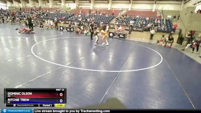 110 lbs Cons. Round 3 - Dominic Olson, NE vs Ritchie Trew, SC