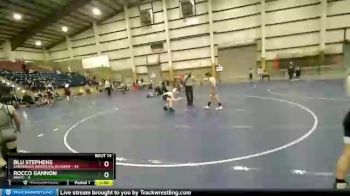 100 lbs Quarters & Wb (16 Team) - Rocco Gannon, INWTC vs Blu Stephens, Sanderson Wrestling Academy