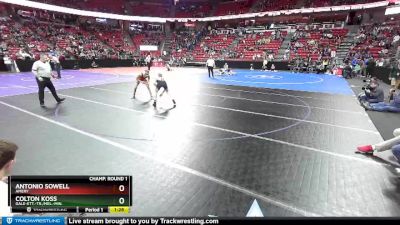 D2-106 lbs Champ. Round 1 - Antonio Sowell, Amery vs Colton Koss, Gale-Ett.-Tr./Mel.-Min.