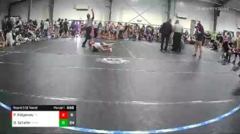 49 lbs Round 5 (6 Team) - Dom Schafer, Storm vs Preston Ridgeway, Team Palmetto