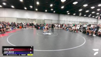 138 lbs Quarters & 1st Wb (16 Team) - Jacob Herm, Wisconsin vs Aden Braun, North Dakota Blue