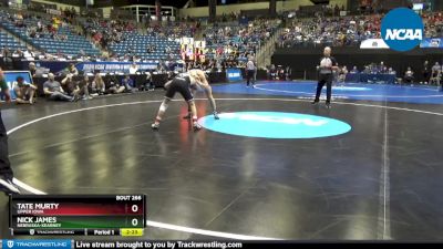 141 lbs Semifinal - Nick James, Nebraska-Kearney vs Tate Murty, Upper Iowa