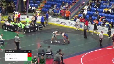 252 lbs Round Of 64 - Tyler Gallo, Wallenpaupack vs Logan Hess, Manheim Central