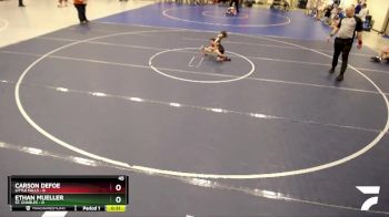 45 lbs Placement (4 Team) - Carson Defoe, Little Falls vs Ethan Mueller, St. Charles
