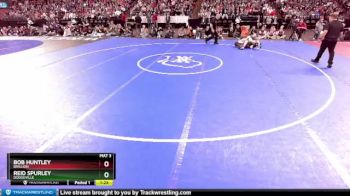D2-126 lbs 1st Place Match - Reid Spurley, Dodgeville vs Bob Huntley, Brillion