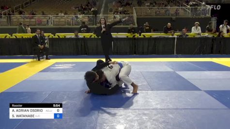 ALEXANDER ADRIAN OSORIO MENDEZ vs SHOKI WATANABE 2024 Pan Jiu Jitsu IBJJF Championship
