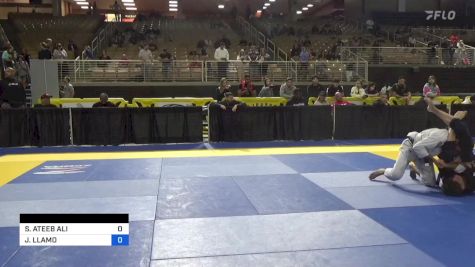 SYED ATEEB ALI vs JHONLUIS LLAMO 2024 Pan Jiu Jitsu IBJJF Championship