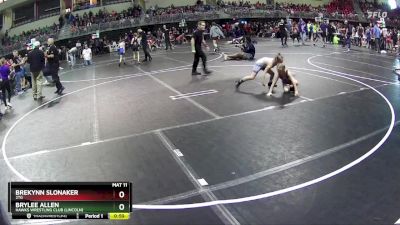 65 lbs Cons. Round 2 - Brekynn Slonaker, 2TG vs Brylee Allen, Hawks Wrestling Club (Lincoln)