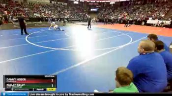 D2-132 lbs Semifinal - Danny Heiser, Evansville vs Kellen Kelly, Saint Croix Falls