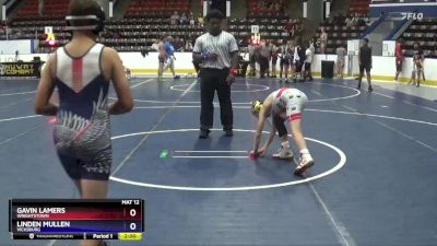 91 lbs Round 1 - Gavin Lamers, Wrightstown vs Linden Mullen, Vicksburg