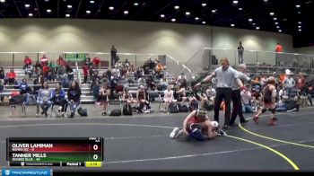 92 lbs Round 2 (4 Team) - Tanner Mills, Dundee Blue vs Oliver Lamiman, Romeo WC