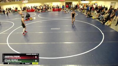 110 lbs Champ. Round 2 - Ethan Searle, Rosemount Irish Wrestling vs Jameson Priebe, Guerrilla Wrestling Club