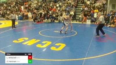 121 lbs Semifinal - Luke Willochell, Greater Latrobe vs Collier Hartman, Canon-McMillan