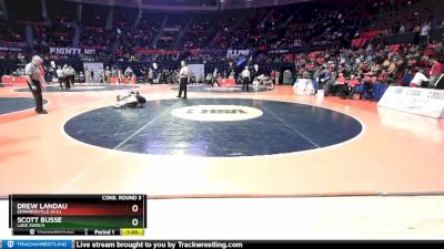 3A 145 lbs Cons. Round 3 - Drew Landau, Edwardsville (H.S.) vs Scott Busse, Lake Zurich