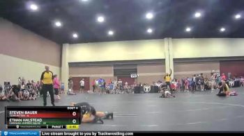 82 lbs Round 2 (6 Team) - Ethan Halstead, Carolina Hammer Squad vs Steven Bauer, Team Mitten