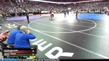 D3-138 lbs Semifinal - Lucas Sullivan, Mineral Point vs Brady Gross, Coleman