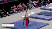 Nathan York - Pommel Horse, Premier West - 2021 US Championships