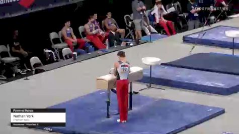 Nathan York - Pommel Horse, Premier West - 2021 US Championships