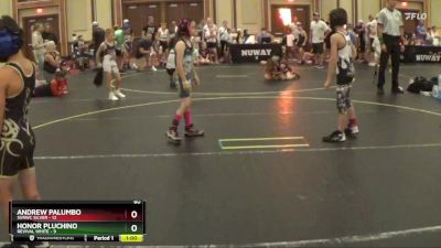 60 lbs Round 3 (4 Team) - Honor Pluchino, Revival White vs Andrew Palumbo, SVRWC Silver