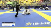 LUIZ ANDRÉ CAMPOS C. DE ALBUQUER vs RODRIGO DA SILVA ALEIXO 2024 Brasileiro Jiu-Jitsu IBJJF