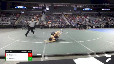 106 lbs Semifinal - Cameron Meier, Bloomington South vs Nathan Rioux, Avon