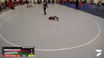 55 lbs Placement (4 Team) - Landen Browen, LPGE/B Wolves vs Harrison Schuelke, Marshall/Lakeville/RTR