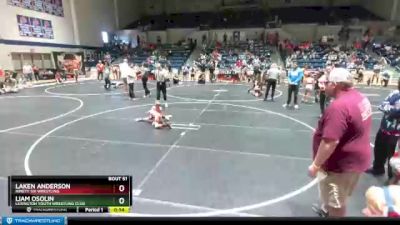 58 lbs Round 3 - Liam Osolin, Lexington Youth Wrestling Club vs Laken Anderson, Ninety Six Wrestling