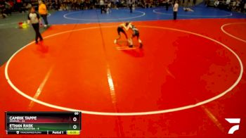 80 lbs Semis (4 Team) - Ethan Rask, Caledonia/Houston vs Camrik Tappe, Staples