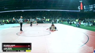 D2-126 lbs Quarterfinal - Ricardo Saenz, BH Brother Rice HS vs Luke Egan, Cedar Springs HS