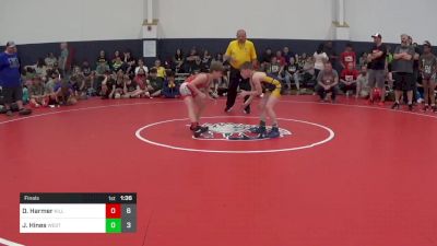 90 lbs Final - Dakota Harmer, Killer Elite vs Jett Hines, West Virginia Wild