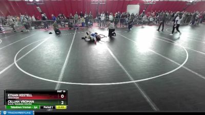 98 lbs Quarterfinal - Cillian Vroman, B.A.M. Training Center vs Ethan Kestell, Wisconsin