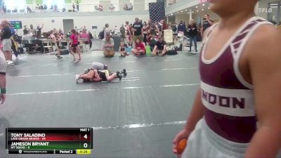 52 lbs Cons. Semi - Tony Saladino, Lake Gibson Braves vs Jameson Bryant, Hit Squad