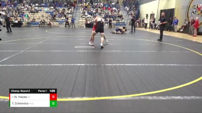 132 lbs Champ. Round 2 - Noah Hayes, Archbishop Spalding vs Tyler Crimmins, McDonogh School