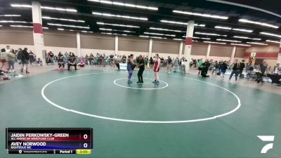 180 lbs Quarterfinal - Jaidin Perkowsky-Green, All American Wrestling Club vs Avey Norwood, Righteous WC