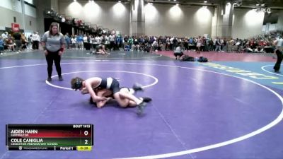 106 lbs Cons. Round 7 - Aiden Hahn, Farmington vs Cole Caniglia, Creighton Preparatory School