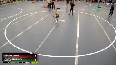 Cons. Round 2 - Davis Artmann, New Prague Wrestling vs Colton Stellmach, Minnesota