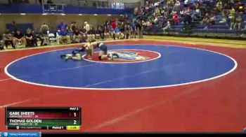 126 lbs Semis & 1st Wb (8 Team) - Thomas Golden, Fannin County HS vs Gabe Sheets, Haralson County