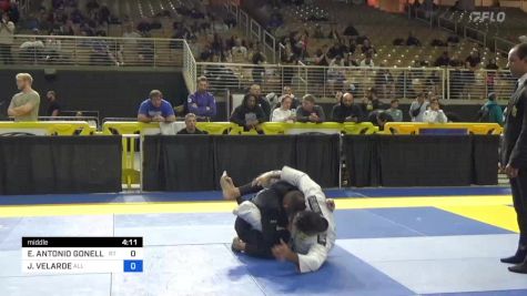 EMILIO ANTONIO GONELL JR vs JOVANNY VELARDE 2024 Pan Jiu Jitsu IBJJF Championship