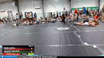 143 lbs Round 3 (8 Team) - David Jewell, Level Up vs Bradley Williams, Alabama Elite